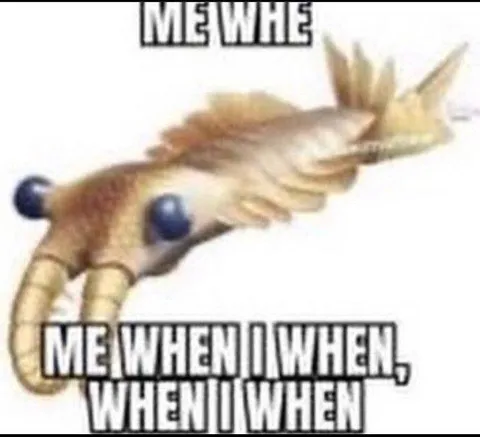 Me When I When