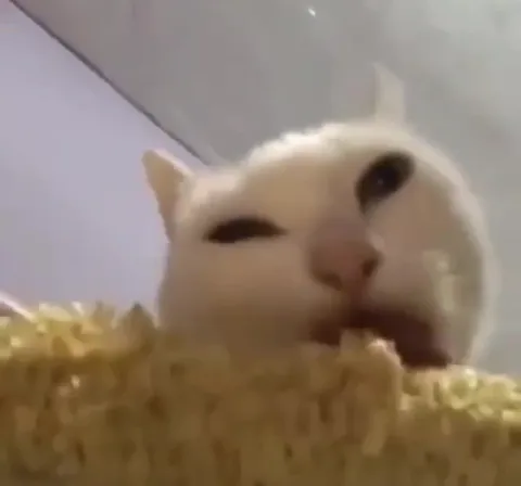Коты драматично едят