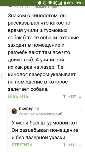 У меня был штурмовой кот