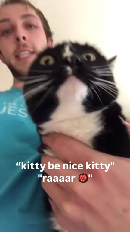 Kitty Refuses to Be Nice