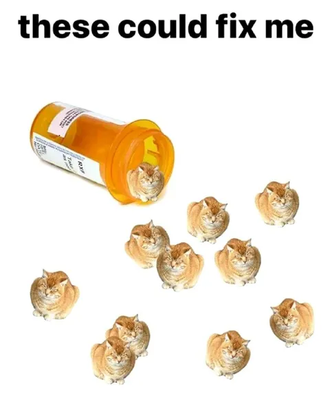 These Cats Could Fix Me