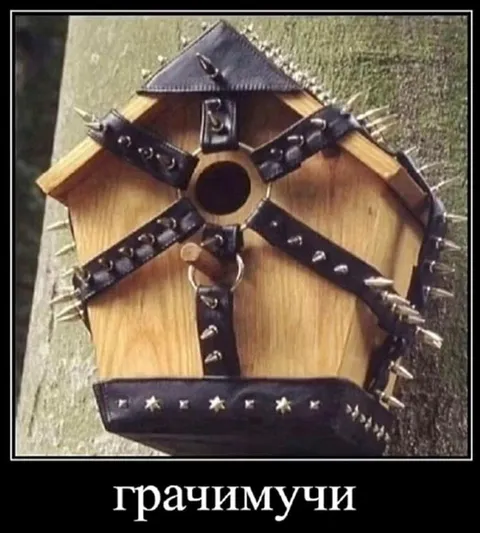 Грачимучи со шипами