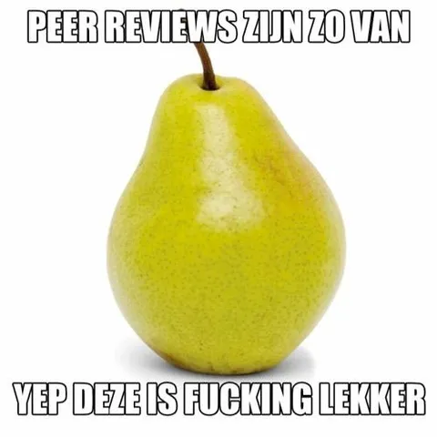 Peer reviews zijn zo van