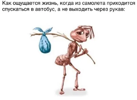 Жизнь после самолёта