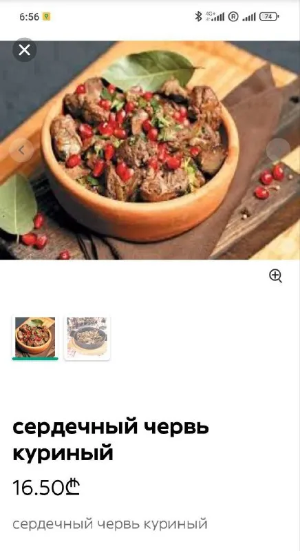 Сердечный червь куриный