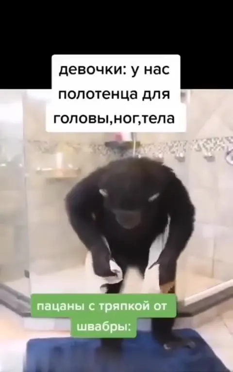 Парни с тряпкой от шавры