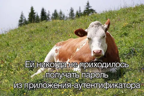 Корова без пароля аутентификатора