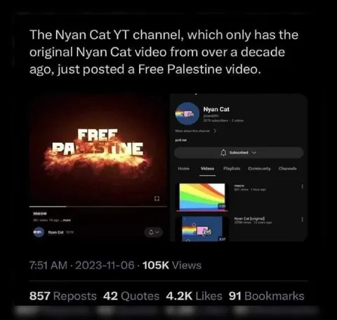 Nyan Cat Posts Free Palestine