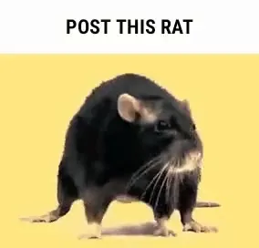 Post This Rat