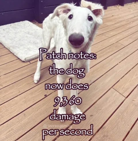 Dog Does 9360 Damage Per Second
