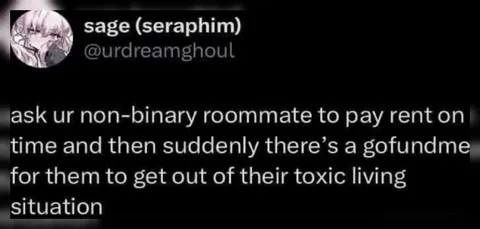 Roommate GoFundMe Twist