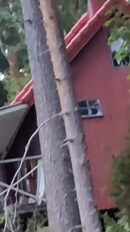 Eetun lippis löytyy metsästä