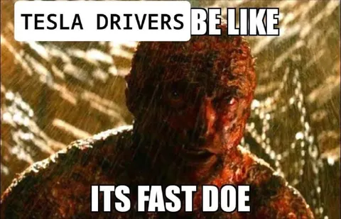 Tesla Drivers Be Like