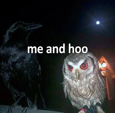 Me and Hoo Owls