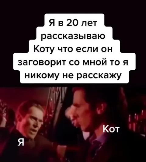 Я обещаю коту молчать