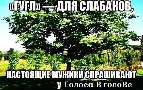 Настоящие мужики спрашивают у голоса