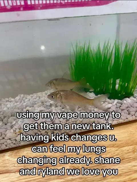 Vape Money for Fish Tank