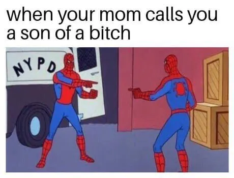 When Mom Calls You a Son of a Bitch