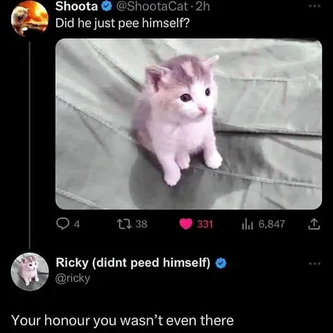 Your Honour You Wasn’t Even There