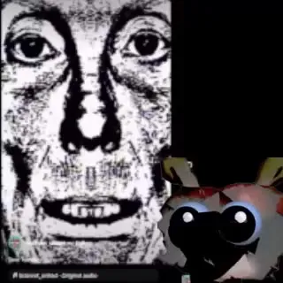 Unhinged TikTok Cat Compilation
