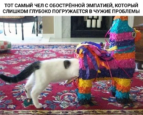 Кот слишком глубоко погрузился в чужие проблемы