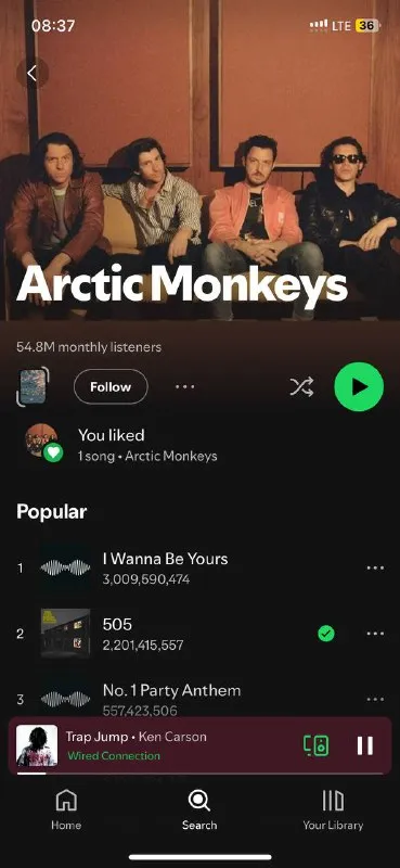 Arctic Monkeys Ensemble