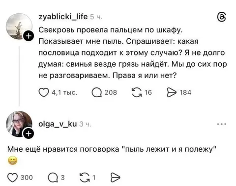Свекровь и пыль в шкафу
