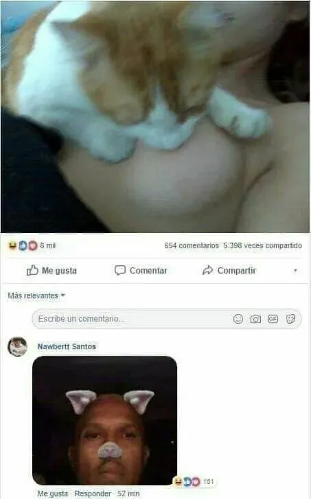 Кот и собачий фильтр