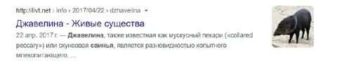 Джавелина — живые существа