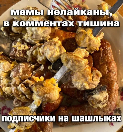 Подписчики на шашлыках