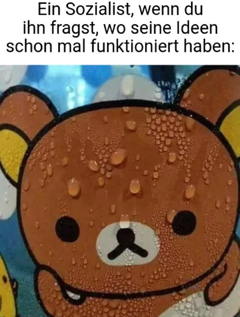 Sozialist und seine Ideen
