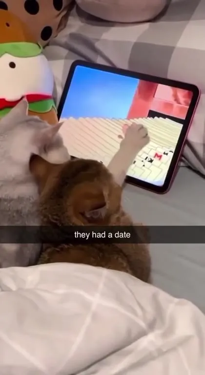 They Had a Date