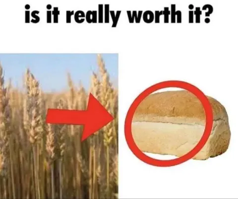 Is It Really Worth It?