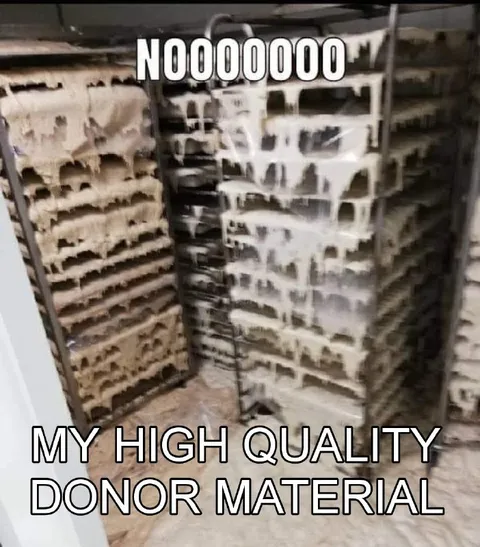 Ruined High Quality Donor Material