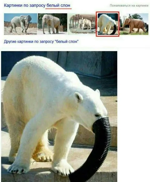 Белый слон в поисковой выдаче