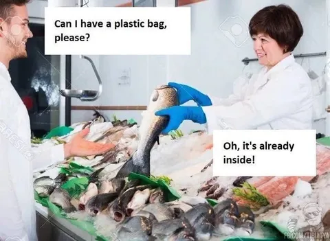 Plastic Bag Already Inside