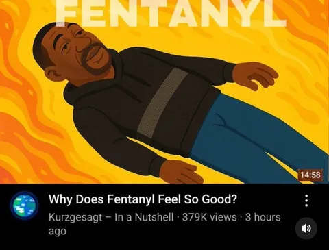 Why Does Fentanyl Feel So Good?