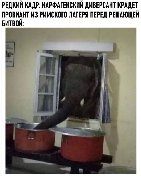 Карфагенский диверсант крадет провиант