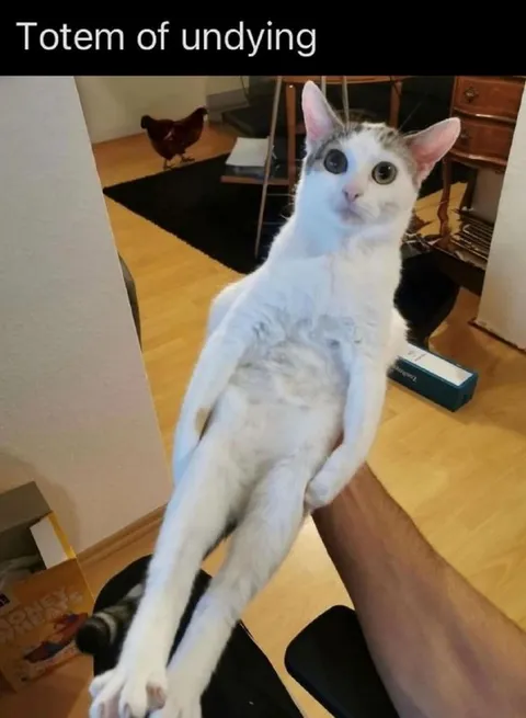 Cat Totem of Undying