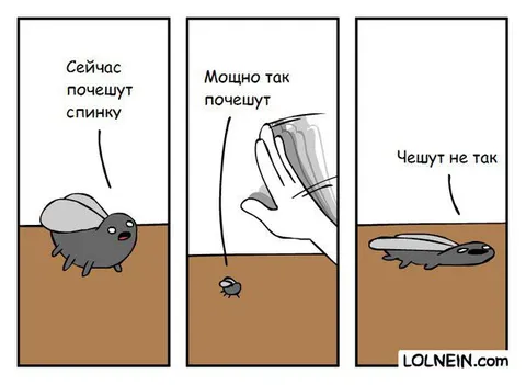 Мухе неправильно чешут спинку