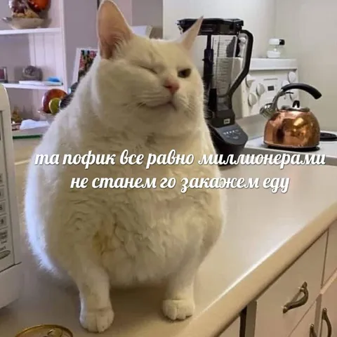 Кот заказывает еду несмотря ни на что