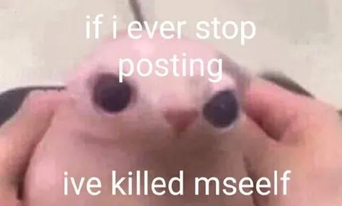if i ever stop posting