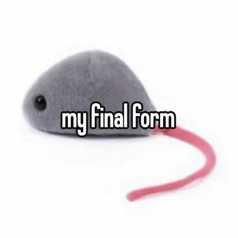 Mouse Final Form