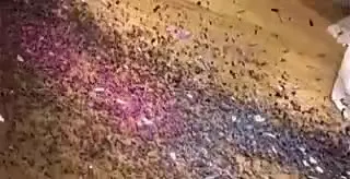 Эпичное падение на вечеринке