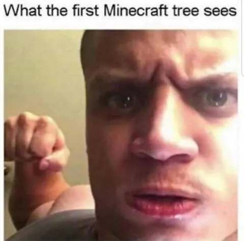 First Minecraft Tree Sees a Fist