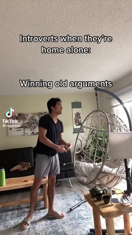 Introvert Home Alone Antics