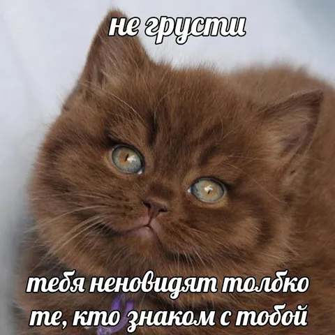 Не грусти, тебя не любят