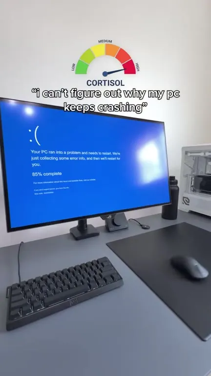 PC Crashes From High Cortisol