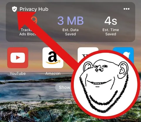Privacy Hub Blocks Everything
