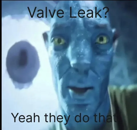 Valve Leak Yeah They Do That